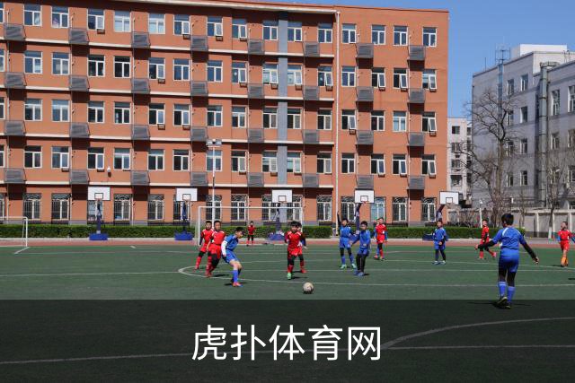 虎扑体育网